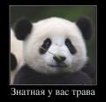 Сковородкер